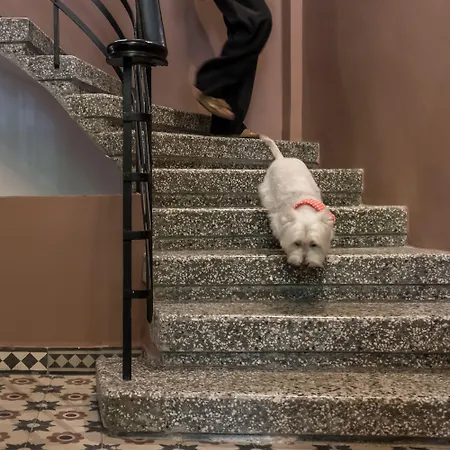 72 Ad Bed & Breakfast Thessaloníki