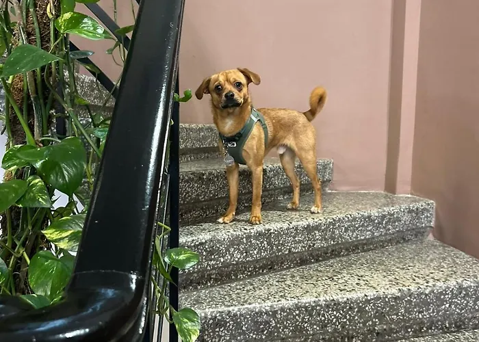 72 Ad Urban Comfort Bed and Breakfast Θεσσαλονίκη