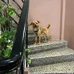 72 Ad Urban Comfort Bed and Breakfast Θεσσαλονίκη