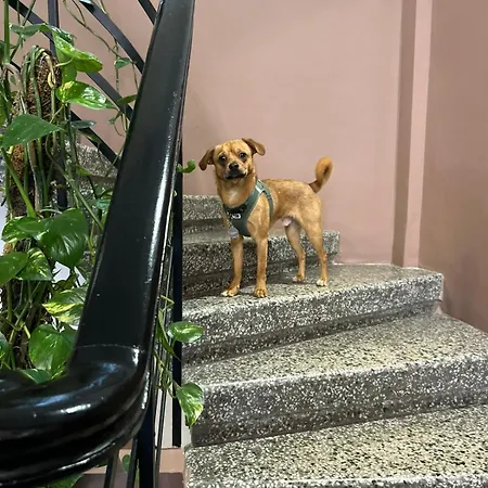 72 Ad B&B 테살로니키