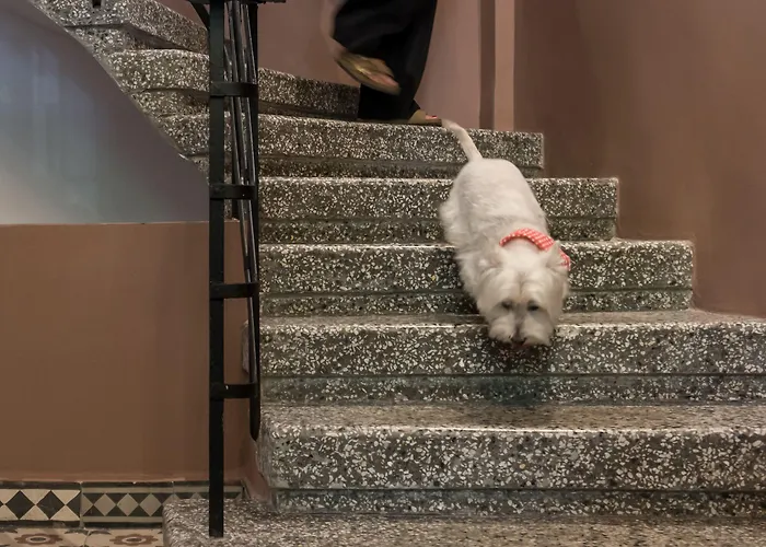 72 Ad Urban Comfort Alojamento de Acomodação e Pequeno-almoço Tessalónica